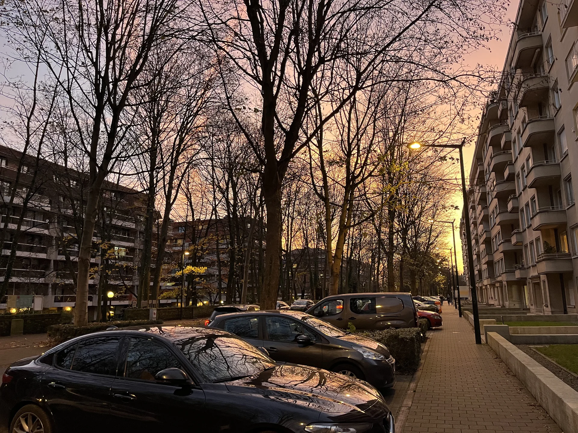 Vue de l’avenue de Messidor à Uccle, bordée d’arbres et de bâtiments.