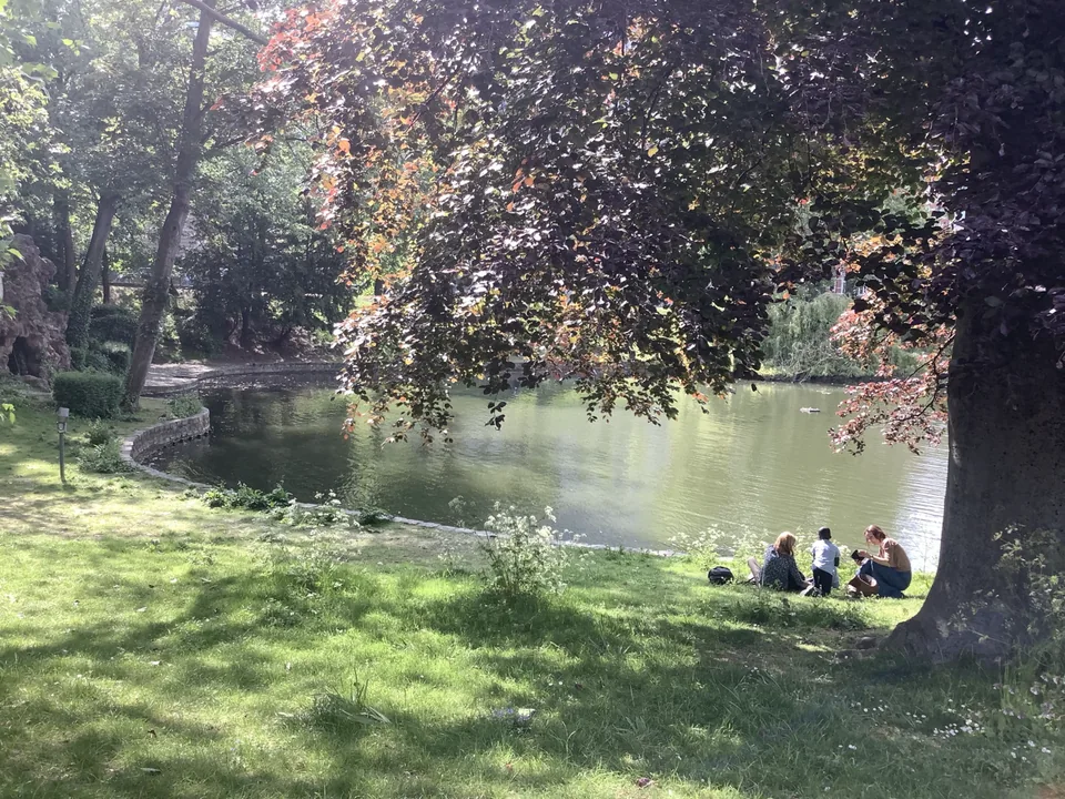 Rive arborée des étangs d’Ixelles, pelouse et feuillage surplombant l’eau.