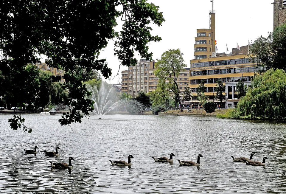 Oiseaux sur l’étang d’Ixelles, fontaine et bâtiment Flagey au fond, derrière les branches.