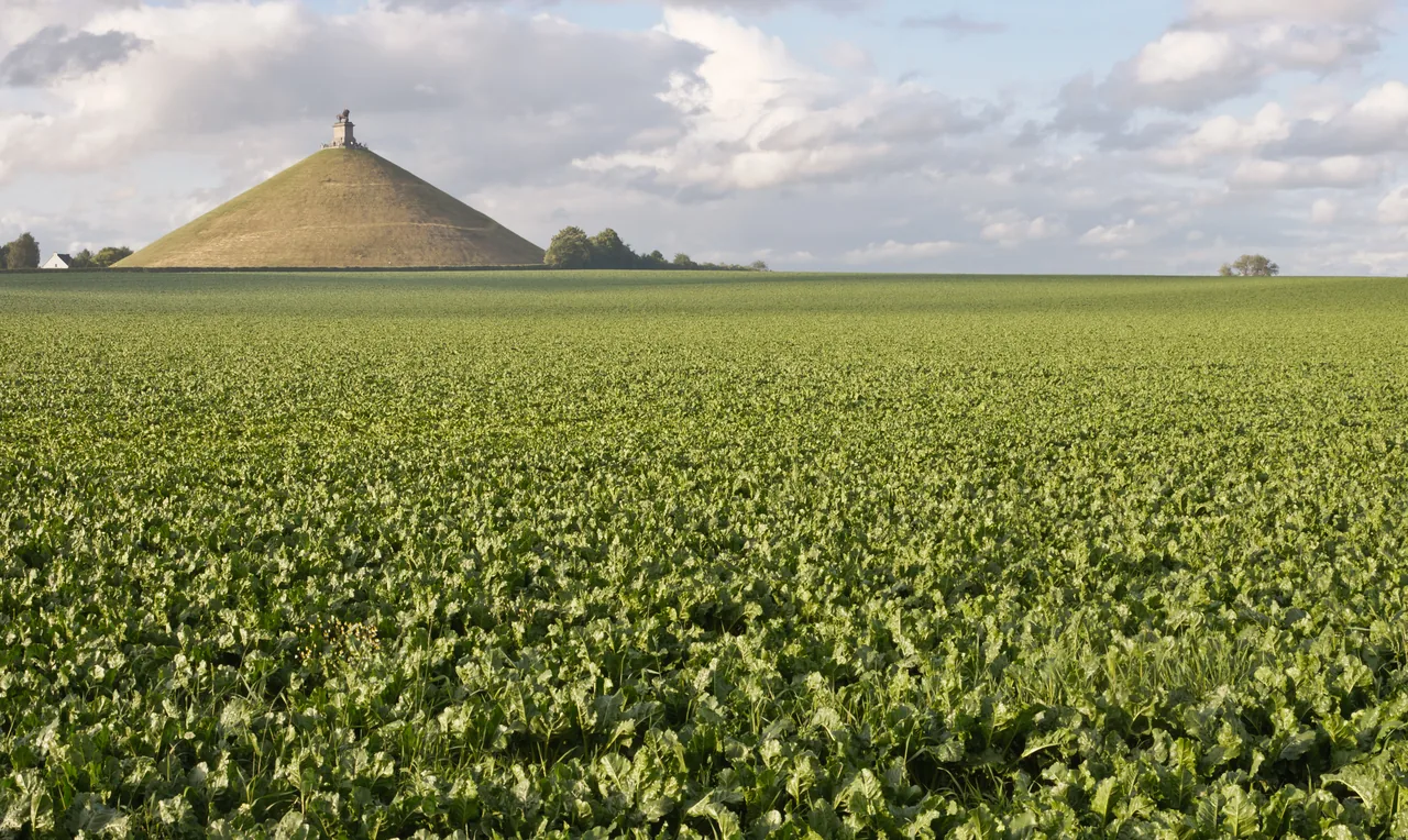 Butte du Lion au-delà des cultures à Braine-l’Alleud.