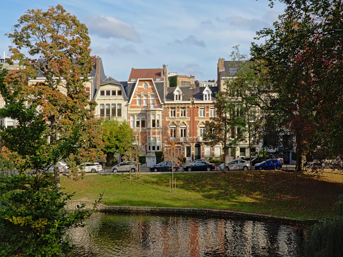 Maisons anciennes et végétation Façades de maisons anciennes bordées d’arbres, avec plan d’eau au premier plan.